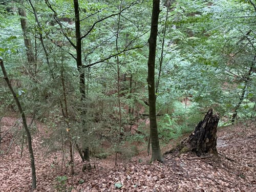 Hohler Stein Rundwanderung