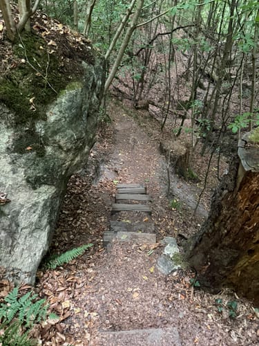 Hohler Stein Rundwanderung