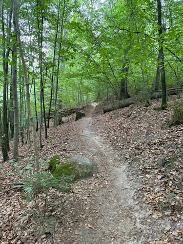 Hohler Stein Rundwanderung
