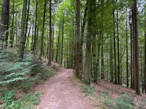 Hohler Stein Rundwanderung