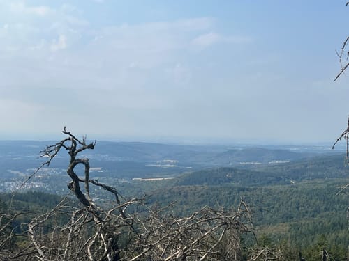 Große Kurve und Altkönig Rundweg