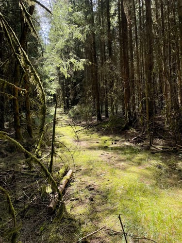 Oberhundemer Bergtour (Premiumwanderweg)