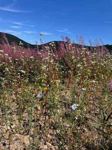Oberhundemer Bergtour (Premiumwanderweg)