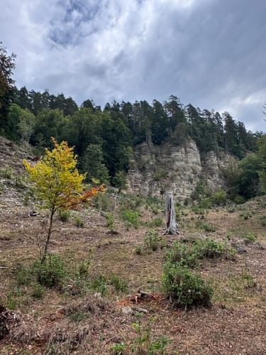 Wutachschlucht Rundweg [CLOSED]