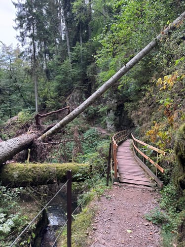Wutachschlucht Rundweg [CLOSED]