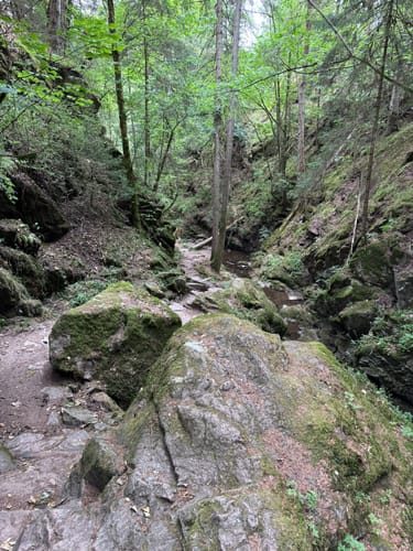 Wutachschlucht Rundweg [CLOSED]