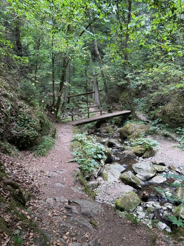 Wutachschlucht Rundweg [CLOSED]