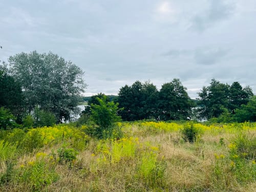 Berliner Mauerweg Etappe 3: Wannsee - Hermsdorf