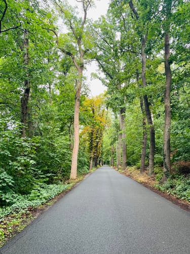 Berliner Mauerweg Etappe 3: Wannsee - Hermsdorf
