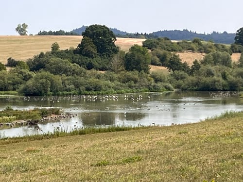 Rund um den Bucher Stausee