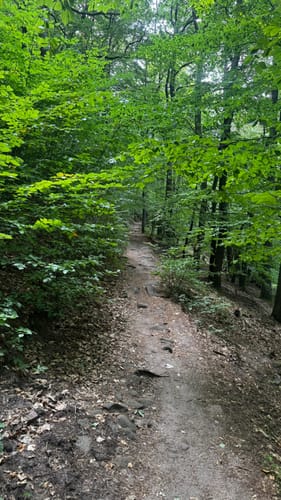 Burg Trifels