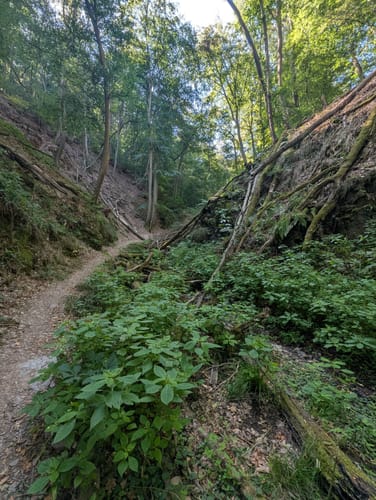 Kreuzbach Klamm Morgenbachtal