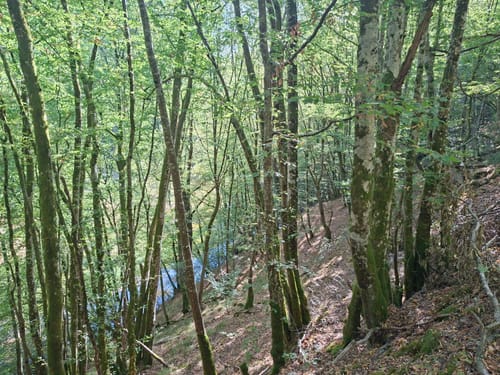 Hunolsteiner Klammtour (Traumschleife)