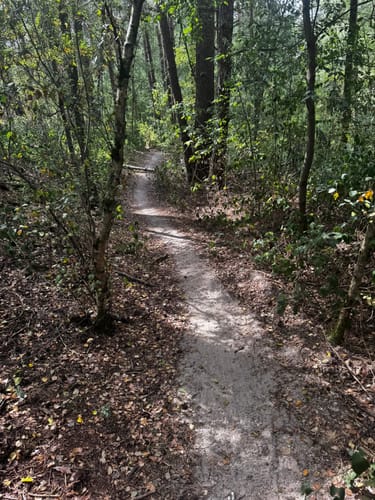 Galgenvenn (Premiumwanderweg)