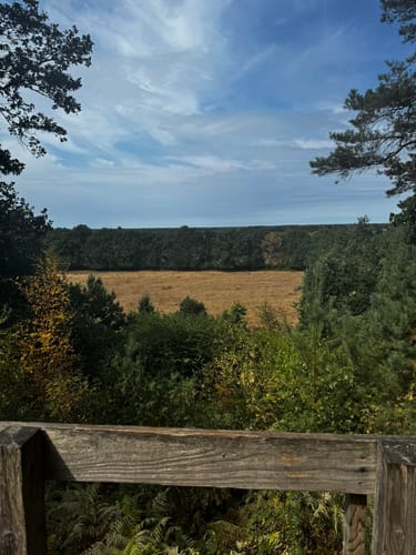 Galgenvenn (Premiumwanderweg)