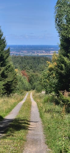 Fox-Eichen-Rundweg