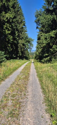Fox-Eichen-Rundweg