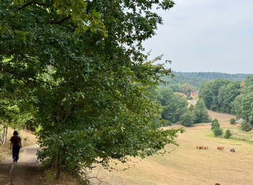 Trippstadt - Burg Wilenstein -Karlstalschlucht