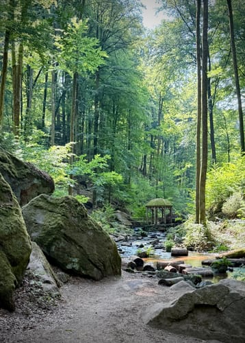 Trippstadt - Burg Wilenstein -Karlstalschlucht