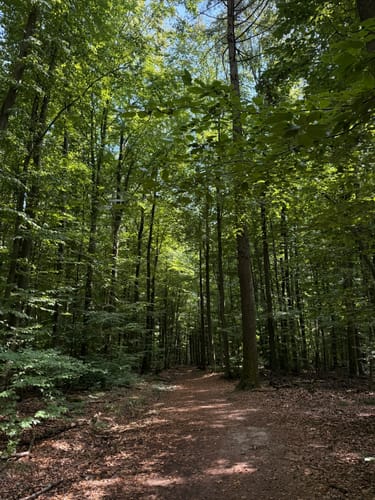 Rundwanderweg Hase Frauenstein
