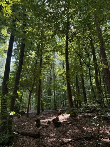 Rundwanderweg Hase Frauenstein