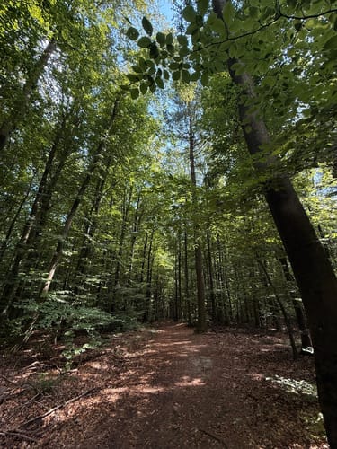 Rundwanderweg Hase Frauenstein