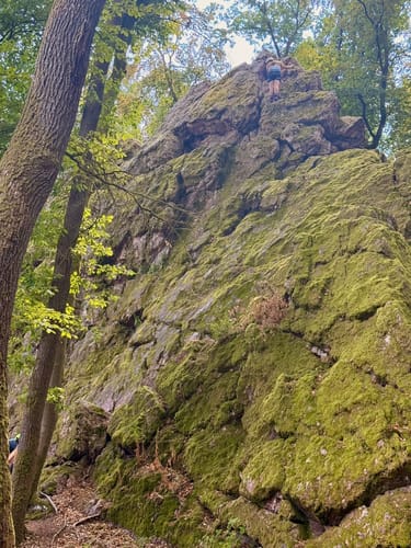 Rundwanderweg Hase Frauenstein