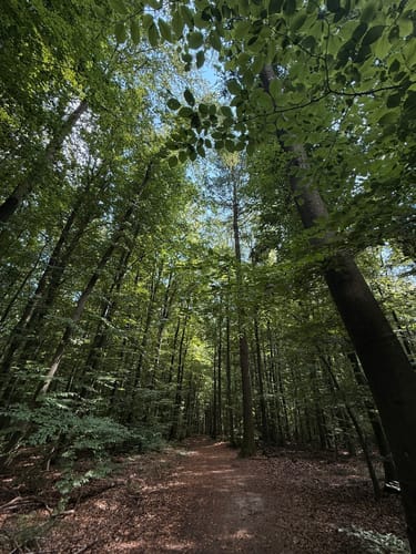Rundwanderweg Hase Frauenstein