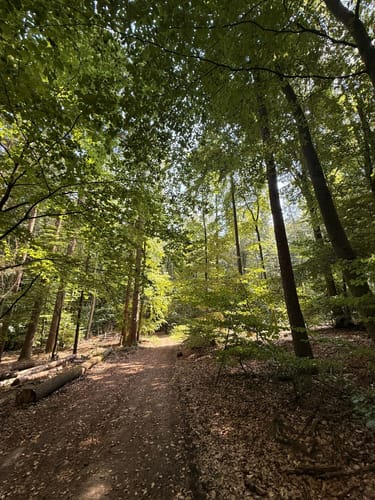 Rundwanderweg Hase Frauenstein
