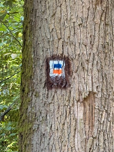 Rundwanderweg Hase Frauenstein