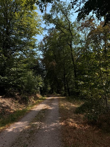 Rundwanderweg Hase Frauenstein