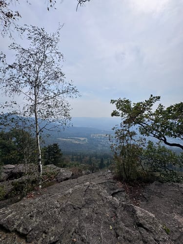 Battertfelsen Rundwanderung