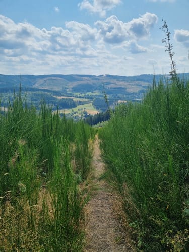 Oberhundemer Bergtour (Premiumwanderweg)