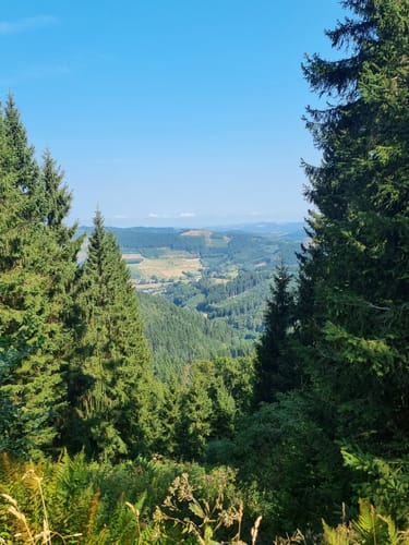 Oberhundemer Bergtour (Premiumwanderweg)
