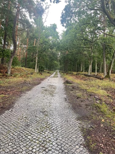 Spandauer Forst: Wildgehege - Laßzinssee - Teufelsbruch