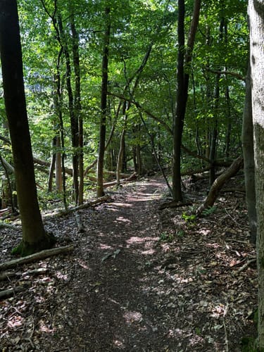 Ith-Kammweg und Jürgensweg Rundweg