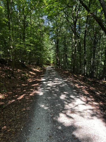 Ith-Kammweg und Jürgensweg Rundweg