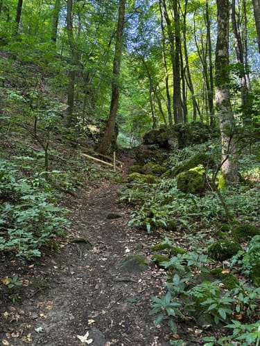 Ith-Kammweg und Jürgensweg Rundweg