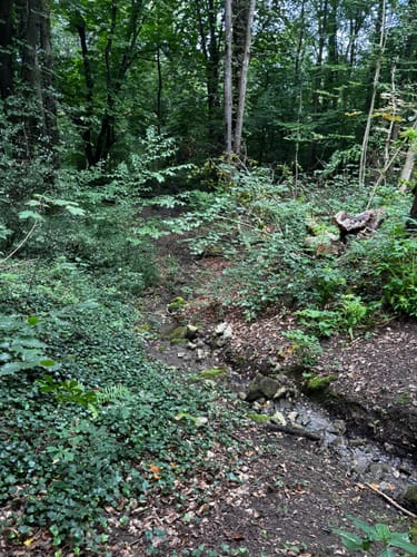Ith-Kammweg und Jürgensweg Rundweg