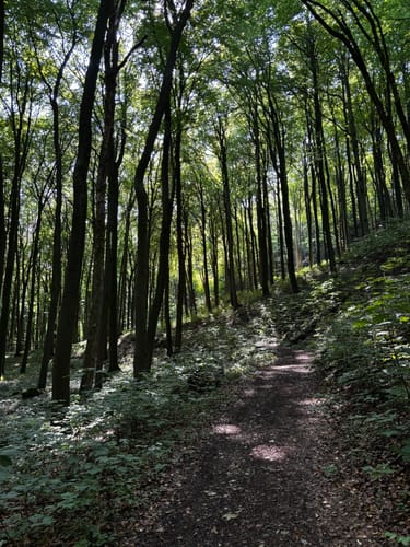Ith-Kammweg und Jürgensweg Rundweg