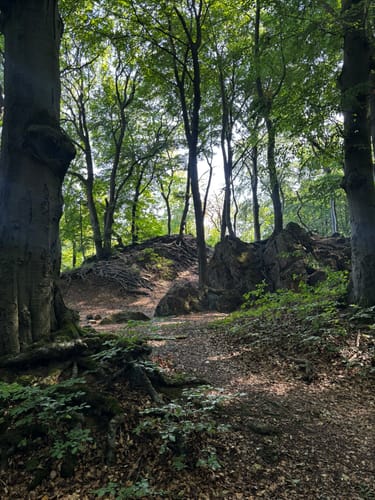 Ith-Kammweg und Jürgensweg Rundweg