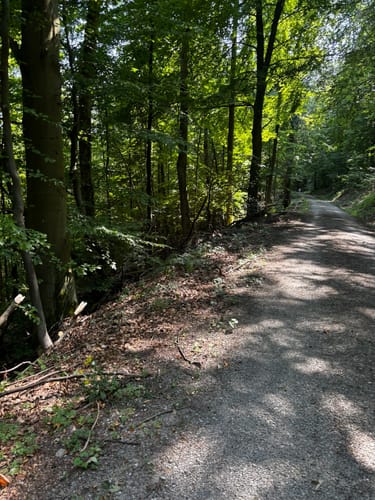 Ith-Kammweg und Jürgensweg Rundweg