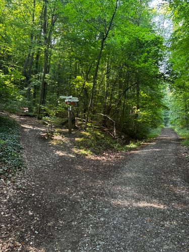 Ith-Kammweg und Jürgensweg Rundweg