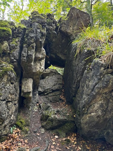 Ith-Kammweg und Jürgensweg Rundweg