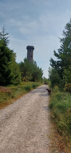 Von Herrenwies über die Badener Höhe