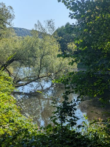 Rund um Pfaffenberg