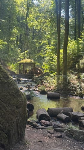 Trippstadt - Burg Wilenstein -Karlstalschlucht