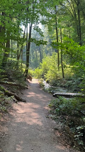 Trippstadt - Burg Wilenstein -Karlstalschlucht
