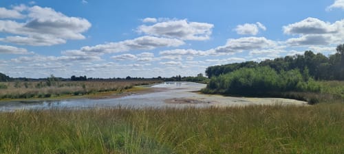 Bargerveen Lange Wandelroute