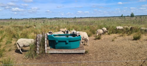 Bargerveen Lange Wandelroute